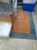 DSC07564