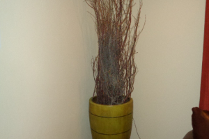 DSC05073