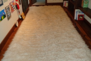 DSC04365