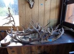 L  169  52" x 31" x 15" Elk Chandelier 10 Lights $1,100