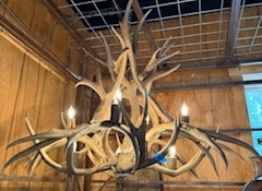 L 173 36" x 32" Deer Chandelier 8 Lights $800
