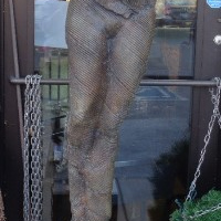 A 483 "Goddess" Bronze by Barbara Sorenson $10,000 C