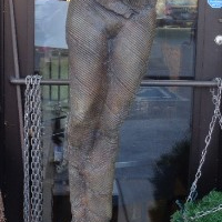 A 483  Goddess  Bronze by Barbara Sorenson $10,000