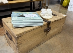 F 310 Primitive Trunk $225